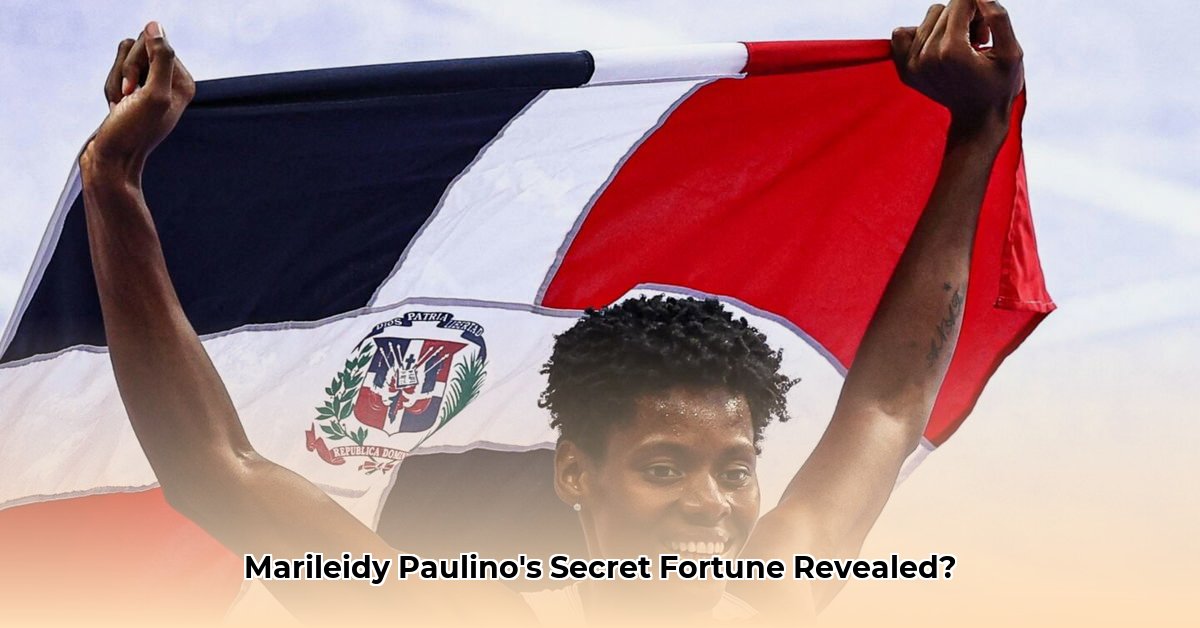 marileidy-paulino-net-worth